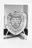 Department 60 Challenge Shield and History 