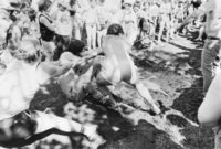 HBM&S Mine Department Picnic 1982