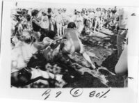 HBM&S Mine Department Picnic 1982