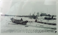  Delivering Cordwood at Flin Flon Mine for us in Steam Power Plant