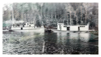 S. S Notin and S. S. Tonopah Exchanging Barges at Mouth of Shist Creek