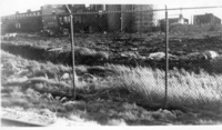 Partial View of the Coal Plant
