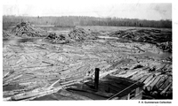 Winter Cut Logs