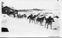 Powerful eight dog team and loaded toboggan C 1928