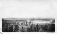 Bush Scene no location date likley C 1929