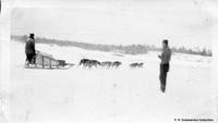 Loaded Dog Sleight - No Date - No Location Likley C 1929