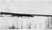 Horse drawn train of slieghs hauling hay on Schist Lake , near Mandy Mine C 1927