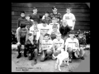 Birchview Pony League C
