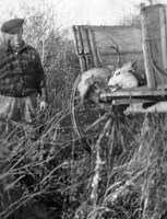 Prospector C 1929