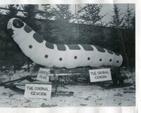 The Trappers Festival - 1959