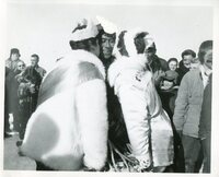 The Trappers Festival - 1960