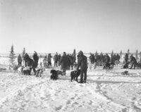 The Trappers Festival - 1960