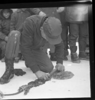 The Trappers Festival - 1961
