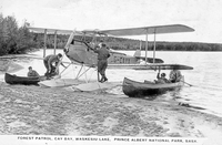 Forest Patrol Cay Bay