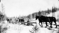 Logging Flin flon C 1927