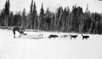 M.A.Roche and dog team no location C 1927