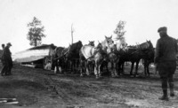 "Holt" Tractor and Six Horses pulling a Boat p no date - no location