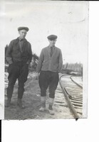 Maurice A Roche and W A Green