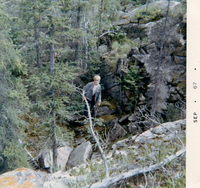 Crevices Beaver Lake Sask Aug 67