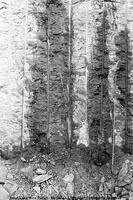Trout Lake Mine Construction
