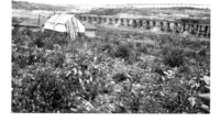 Railway from the Open Pit