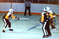 1986 Manitoba Winter Games