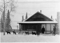 dog team