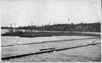 floating muskeg island