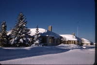 houses in snow