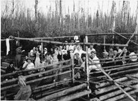 ladies sandy bay camping group 1931