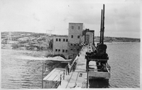 lady on dam