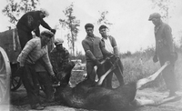 men and moose