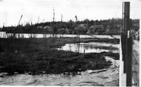 muskeg island at dam