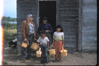 Rees natives baskets