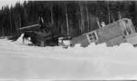 Linn broken through ice