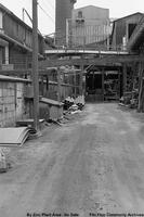 Zinc Plant Outside
