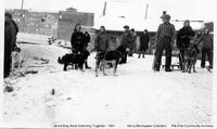 Dog Sled Racing