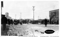 Dog Sled Racing