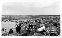Flin Flon Sports