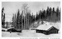 Fox Johnson's Cabin
