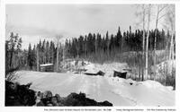 Fox Johnson's Cabin