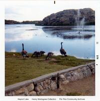 Hapnot Lake Duck Pond