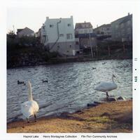 Hapnot Lake Duck Pond