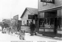 Dog Sled