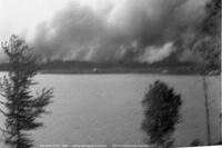 Forest Fire
