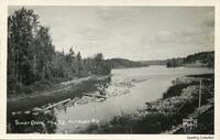 Schist Creek