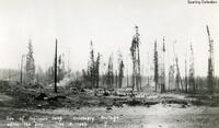 Cranberry Portage Fire