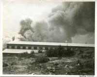 Forest Fire