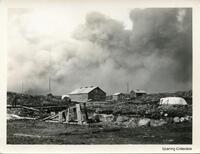 Forest Fire