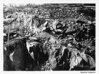 Prospectors 